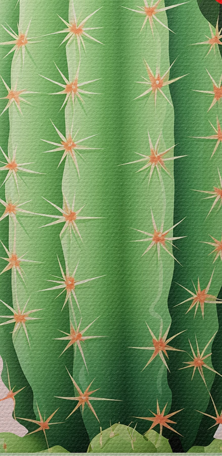 Kaktus mit Blumen in einem Topf Kaktus mit Blumen in einem Topf