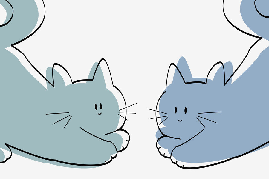 Ein paar liegende Katzen