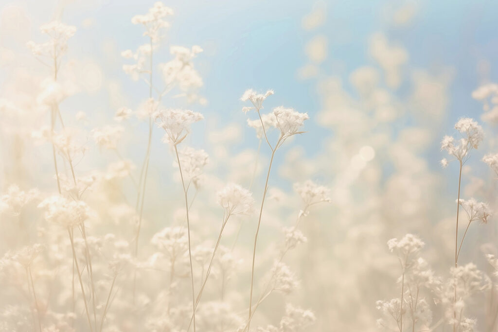 Verträumte Blumen im sanften Sonnenlicht. Verträumte Blumen im sanften Sonnenlicht.