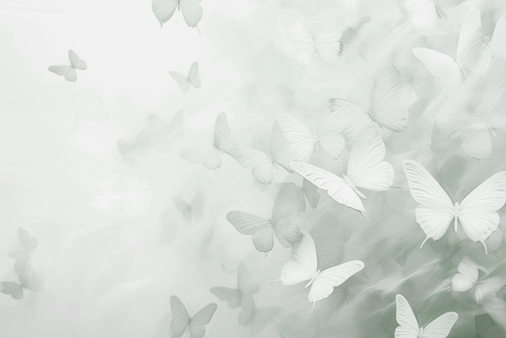 Group of butterflies flying