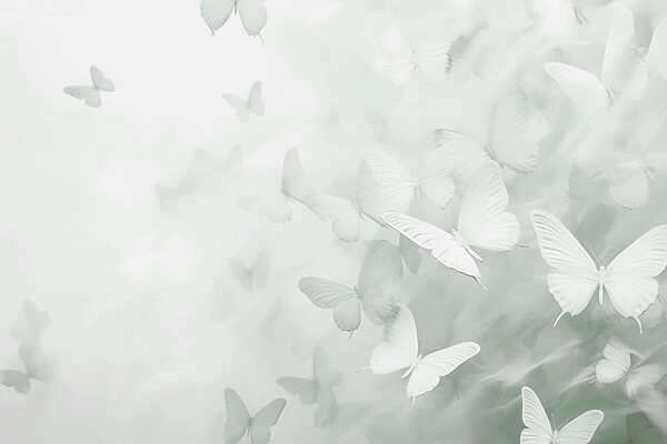 Group of butterflies flying