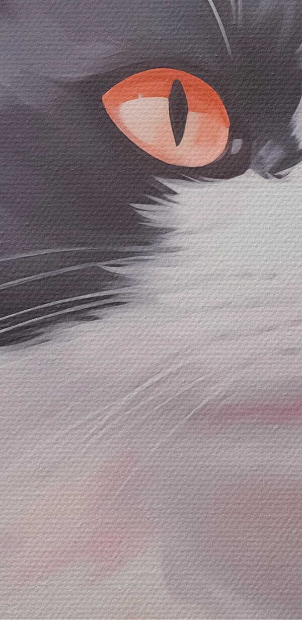 Schwarz-weiße Katze mit orangefarbenen Augen Schwarz-weiße Katze mit orangefarbenen Augen