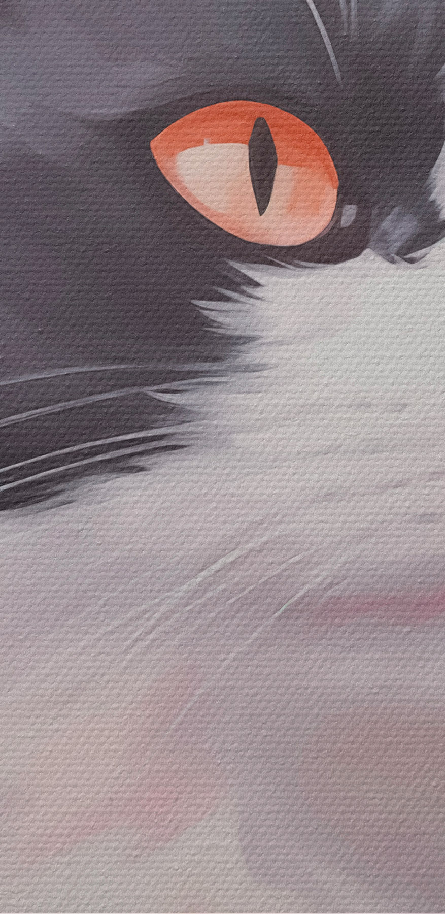 Schwarz-weiße Katze mit orangefarbenen Augen Schwarz-weiße Katze mit orangefarbenen Augen