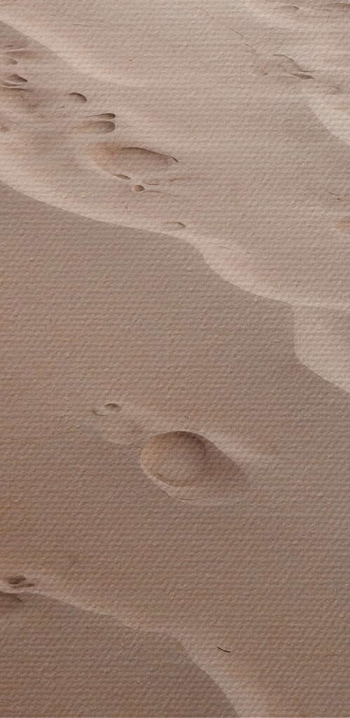 Footprints in the sand