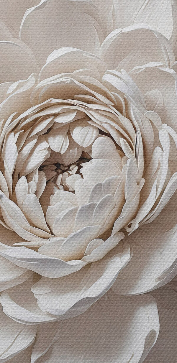 Weiße Blume mit Blättern Weiße Blume mit Blättern