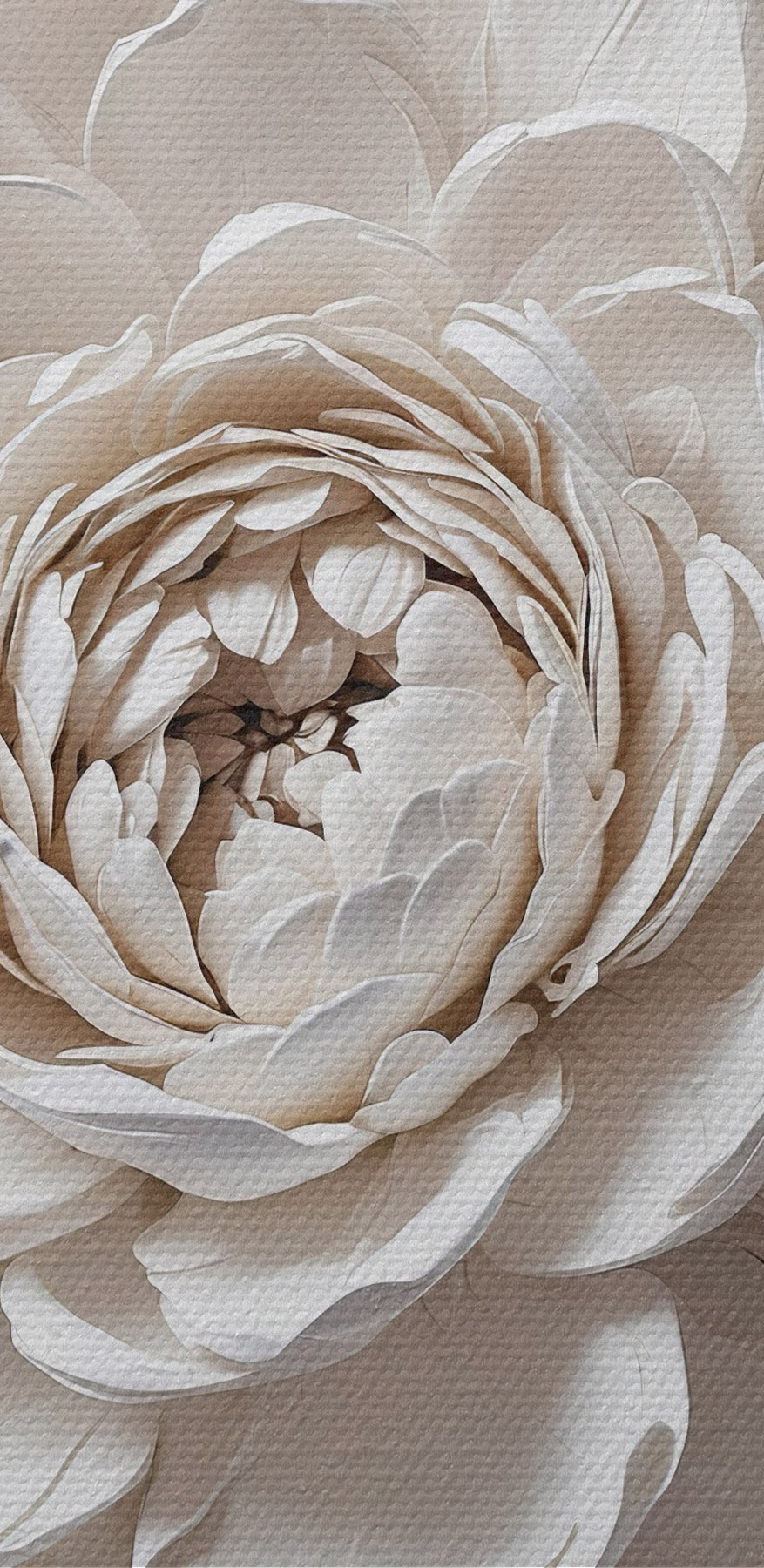 Weiße Blume mit Blättern Weiße Blume mit Blättern