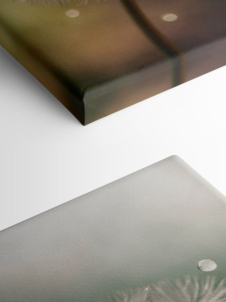 Delicate nature at its finest Delicate nature at its finest