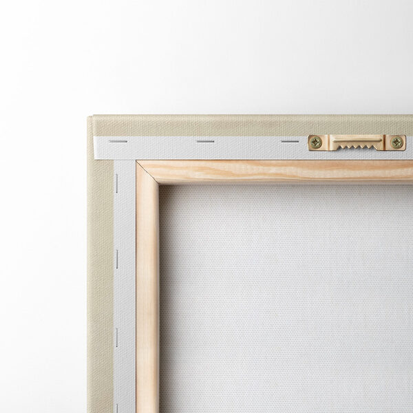 Black cat with whiskers