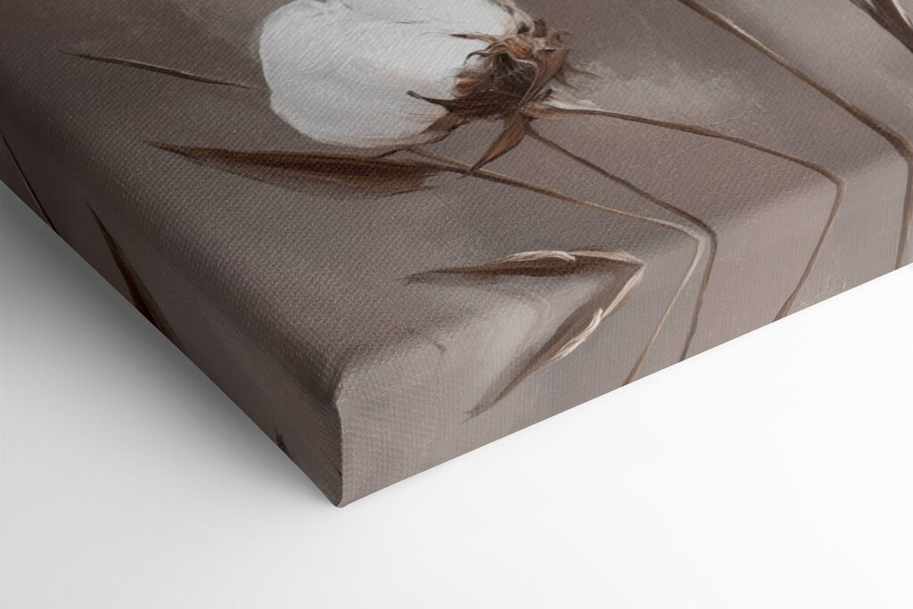 Cotton blooms in gentle elegance