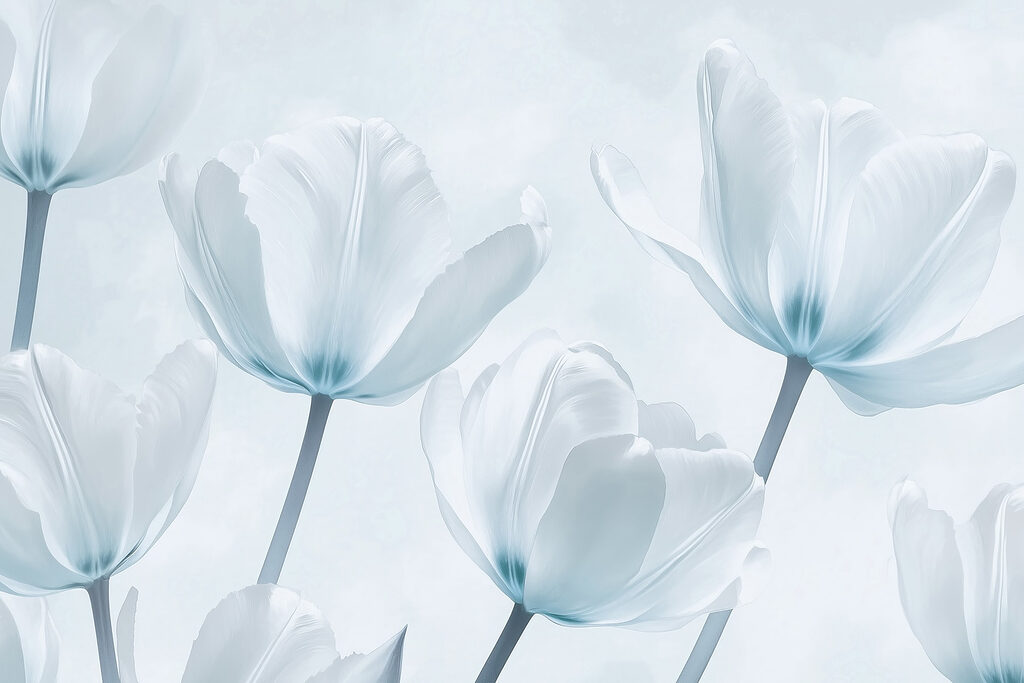 Gruppe von weißen Blumen Gruppe von weißen Blumen