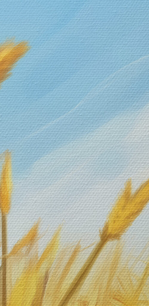 Cat sitting in a wheat field