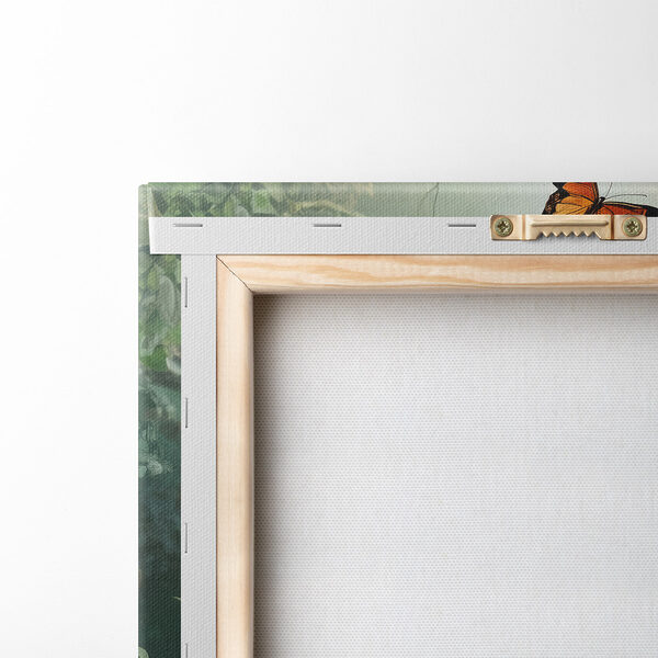 Butterfly and flowers in a forest