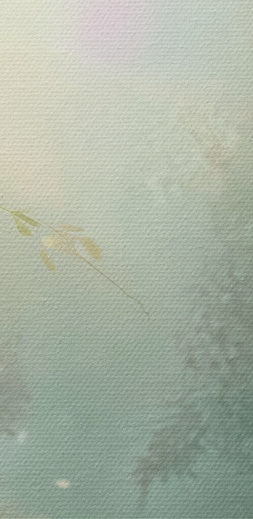 Butterfly and flowers in a forest