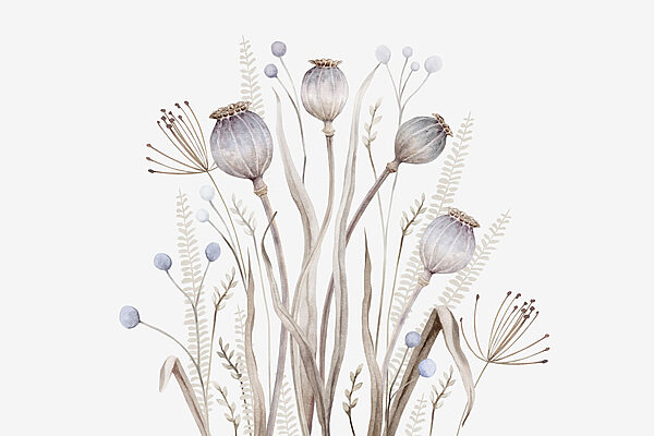 Aquarellmalerei von Blumen und Pflanzen Aquarellmalerei von Blumen und Pflanzen