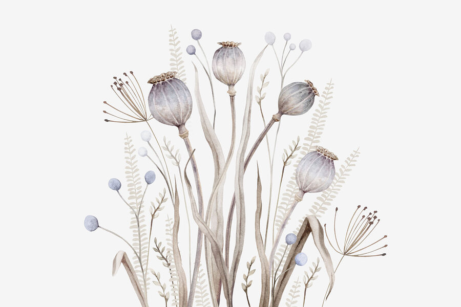 Aquarellmalerei von Blumen und Pflanzen Aquarellmalerei von Blumen und Pflanzen