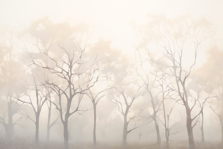 Baumgruppe im Nebel