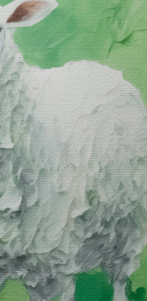 Painting of a sheep Painting of a sheep