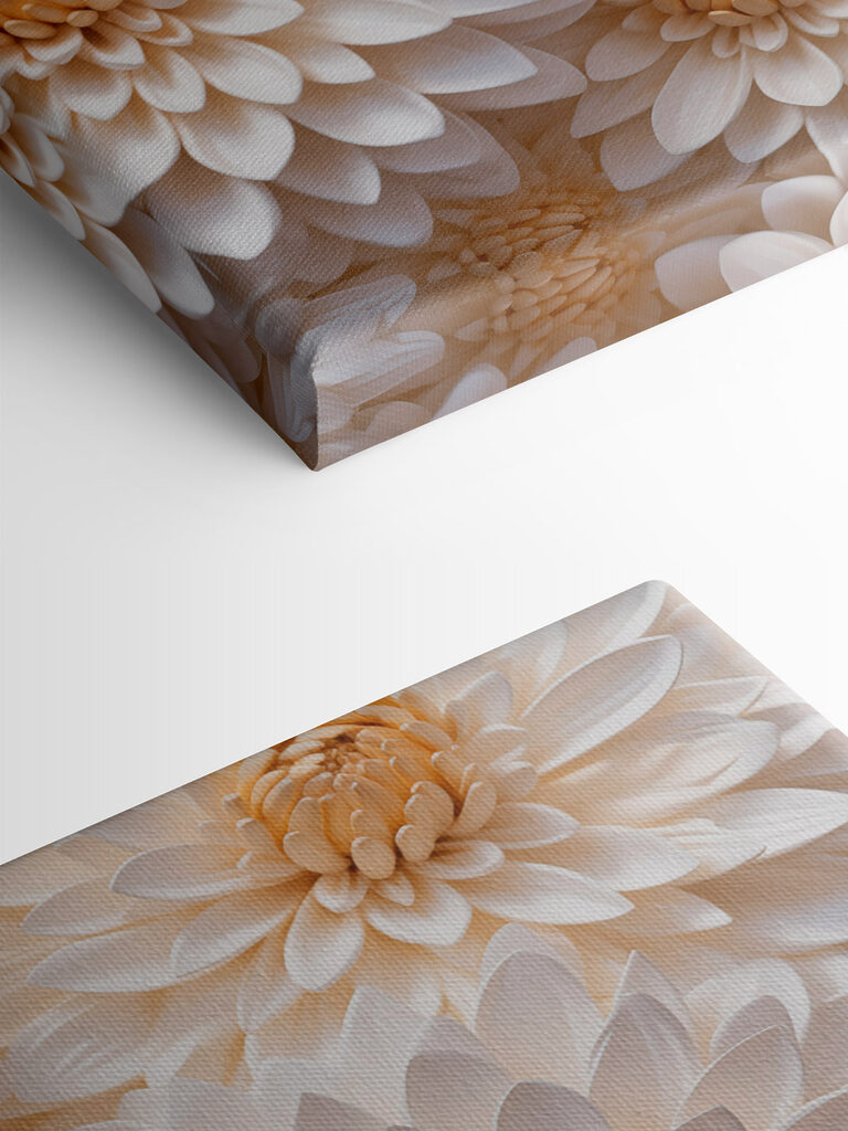 Group of white flowers