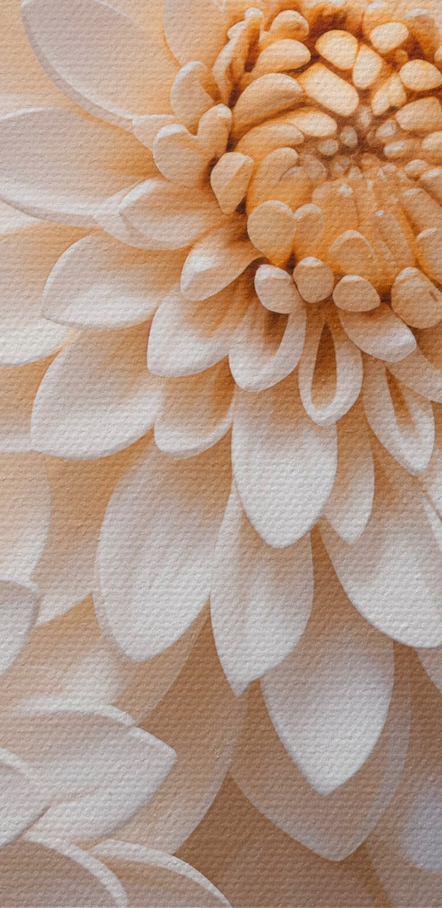 Gruppe von weißen Blumen