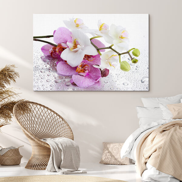 Eine Nahaufnahme von Blumen Eine Nahaufnahme von Blumen