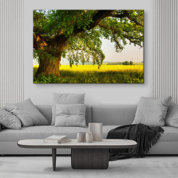 Ein Baum auf einem Feld Ein Baum auf einem Feld