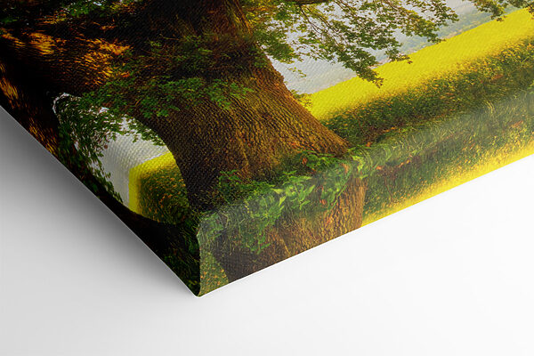Ein Baum auf einem Feld Ein Baum auf einem Feld