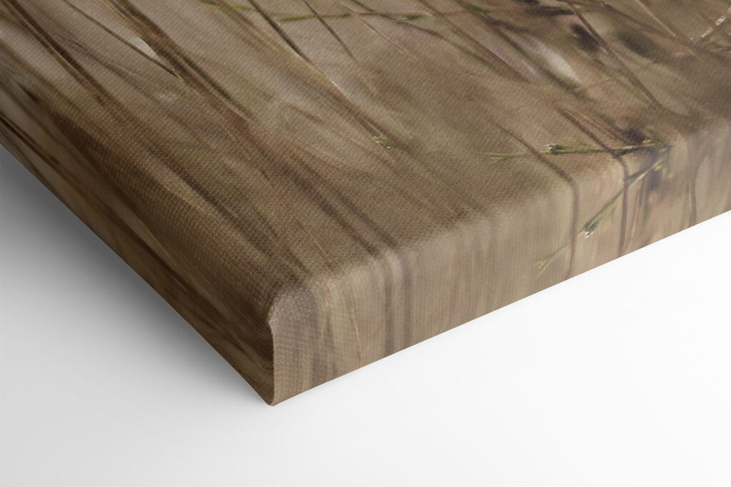 A close up of a plant