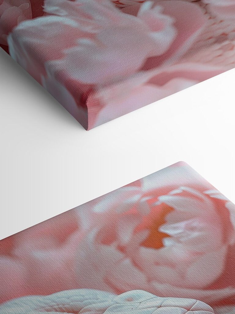 White snake in pink flowers