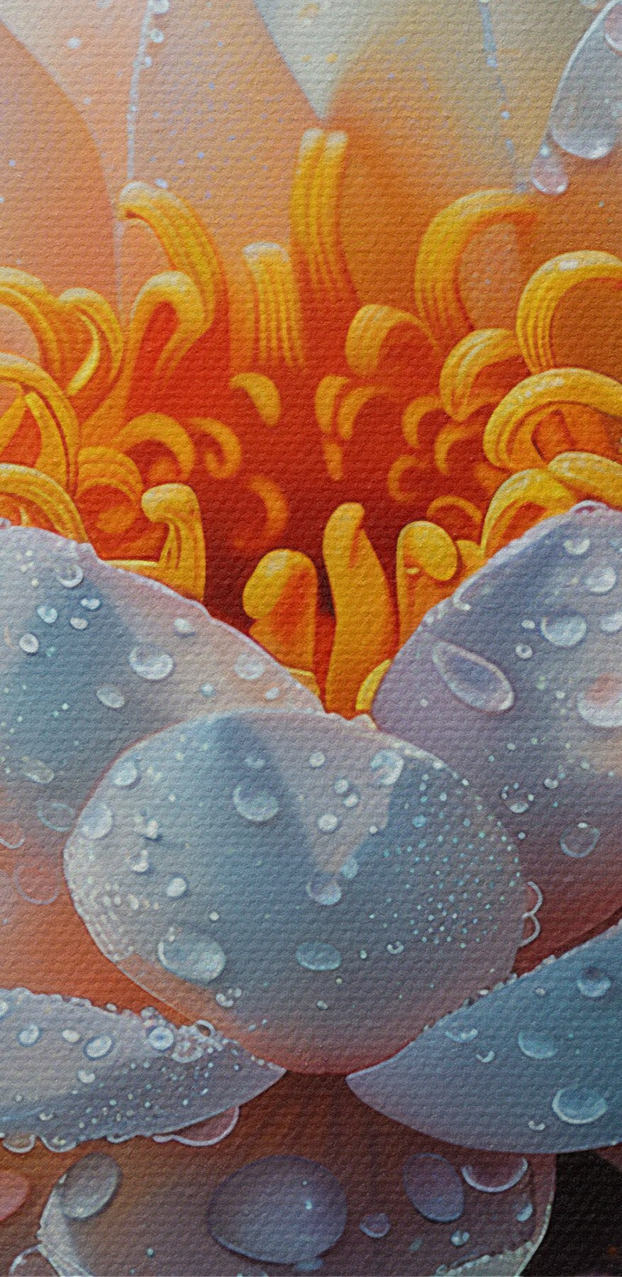 Weiße Blume mit Wassertropfen darauf Weiße Blume mit Wassertropfen darauf