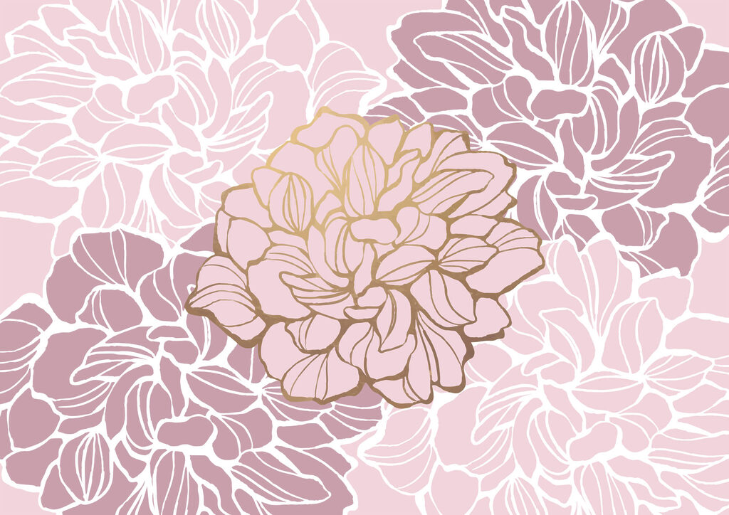 Rosa und weiße Blume Rosa und weiße Blume