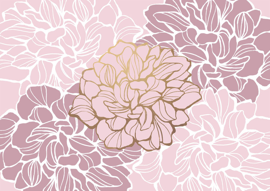 Rosa und weiße Blume t00003v1p 900x636 - Rosa und weiße Blume - tegory