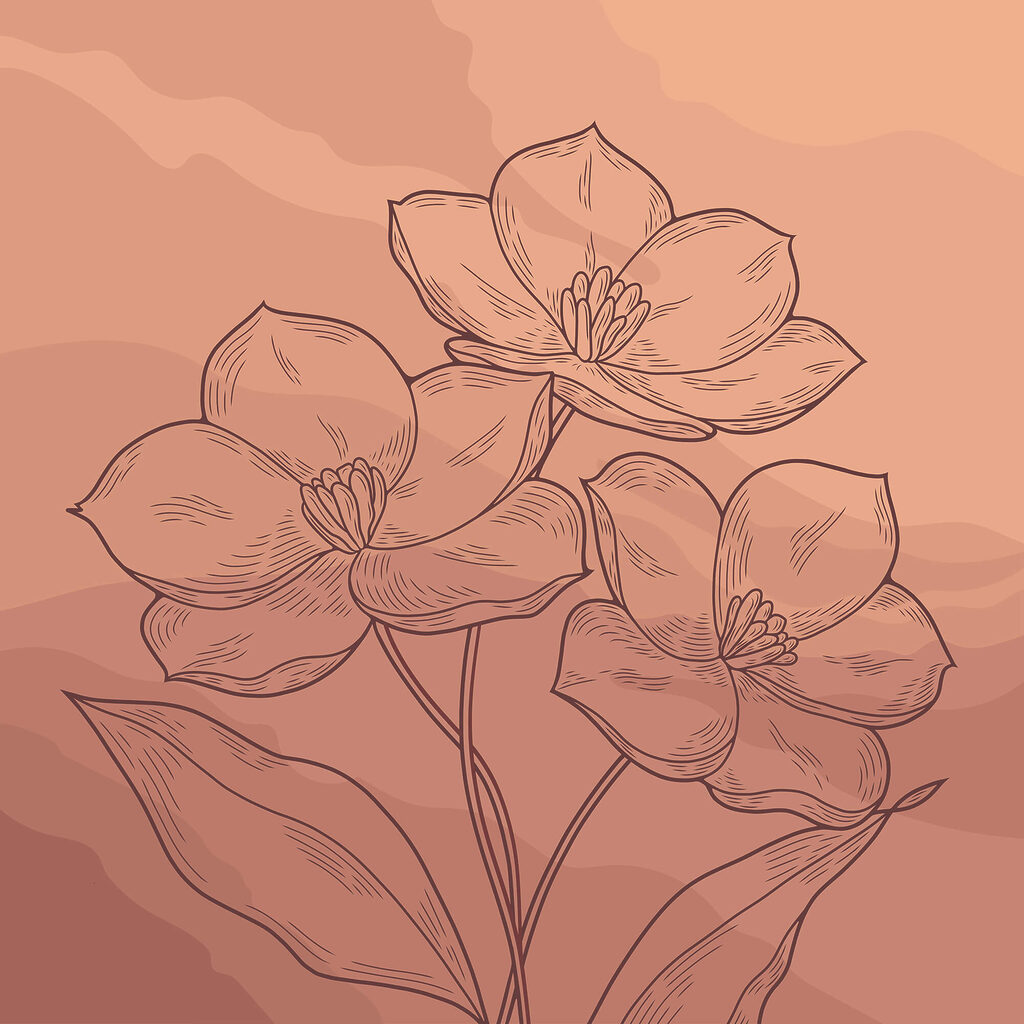 Zeichnung von Blumen auf einem rosa Hintergrund Zeichnung von Blumen auf einem rosa Hintergrund