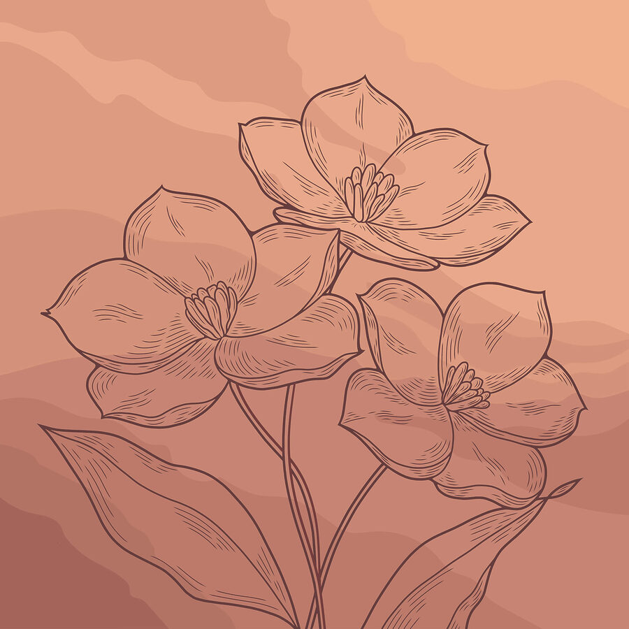 Zeichnung von Blumen auf einem rosa Hintergrund