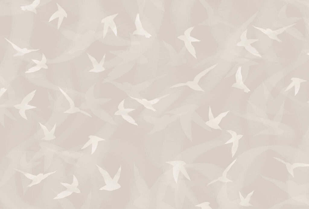 Weiße Vögel fliegen durch die Luft Weiße Vögel fliegen durch die Luft