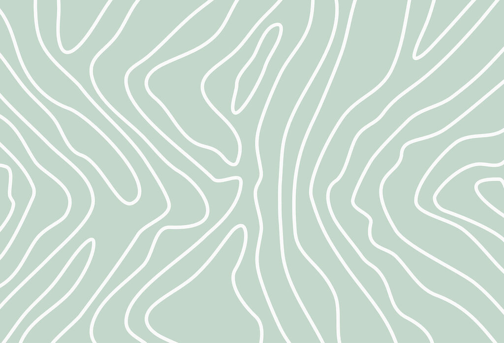 White lines on a light green background