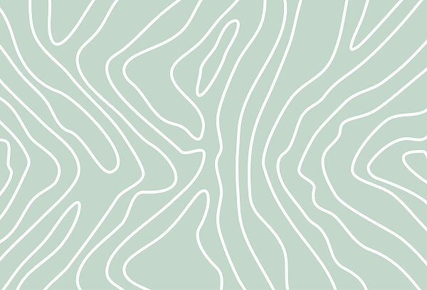 White lines on a light green background