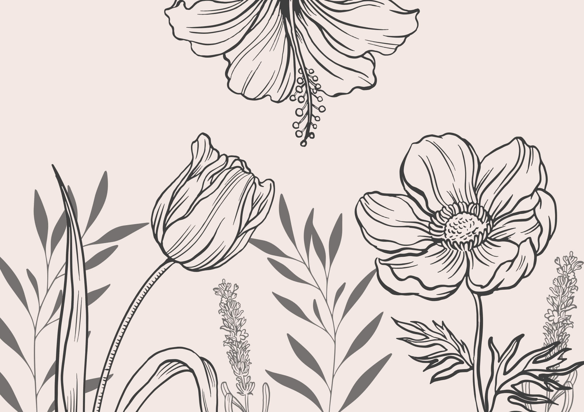 Delicate floral line art design Delicate floral line art design