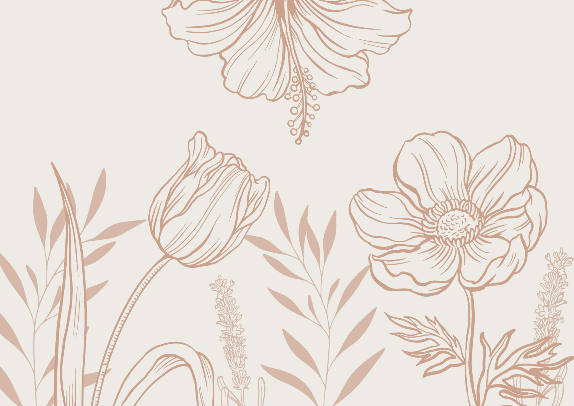 Delicate floral line art design