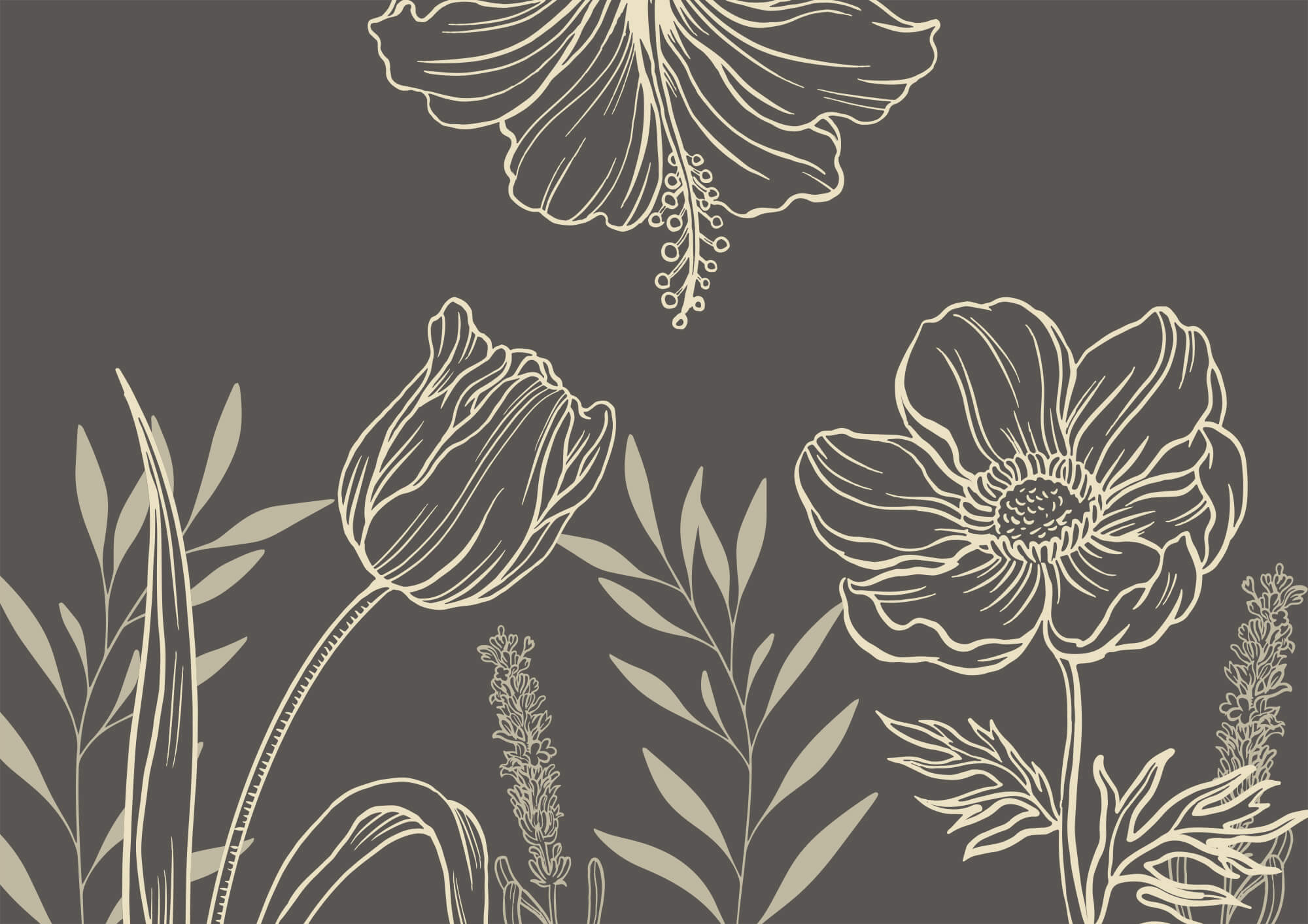 Zartes florales Liniendesign t00006p - Zartes florales Liniendesign - tegory