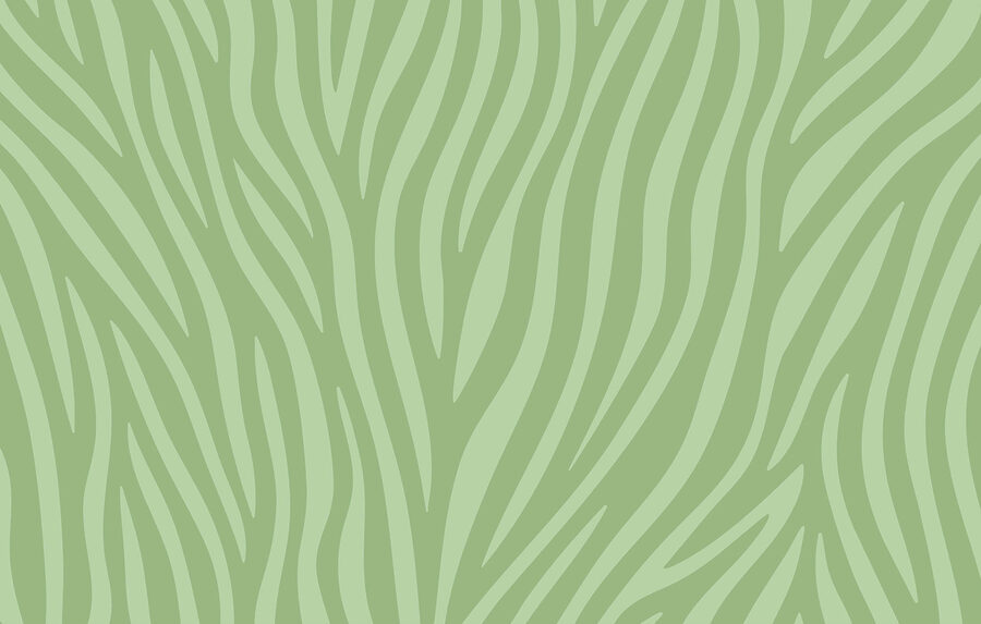 Grüner und weißer Zebradruck