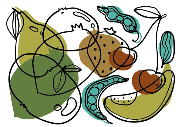 Zeichnung von verschiedenen Früchten Zeichnung von verschiedenen Früchten