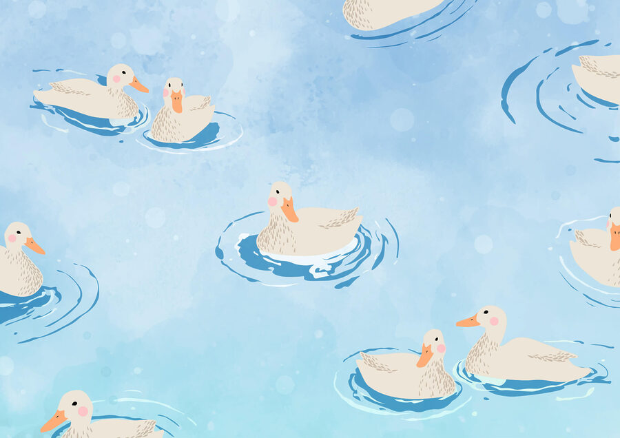 Gruppe von Enten schwimmen im Wasser