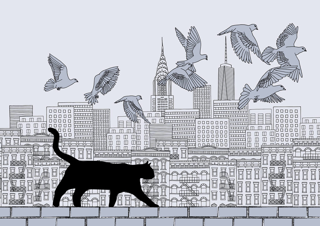 Katze, die auf einer Mauer läuft, während am Himmel Vögel fliegen Katze, die auf einer Mauer läuft, während am Himmel Vögel fliegen