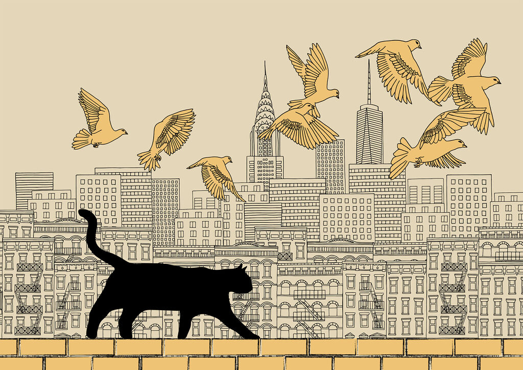 Katze, die auf einer Mauer läuft, während am Himmel Vögel fliegen Katze, die auf einer Mauer läuft, während am Himmel Vögel fliegen