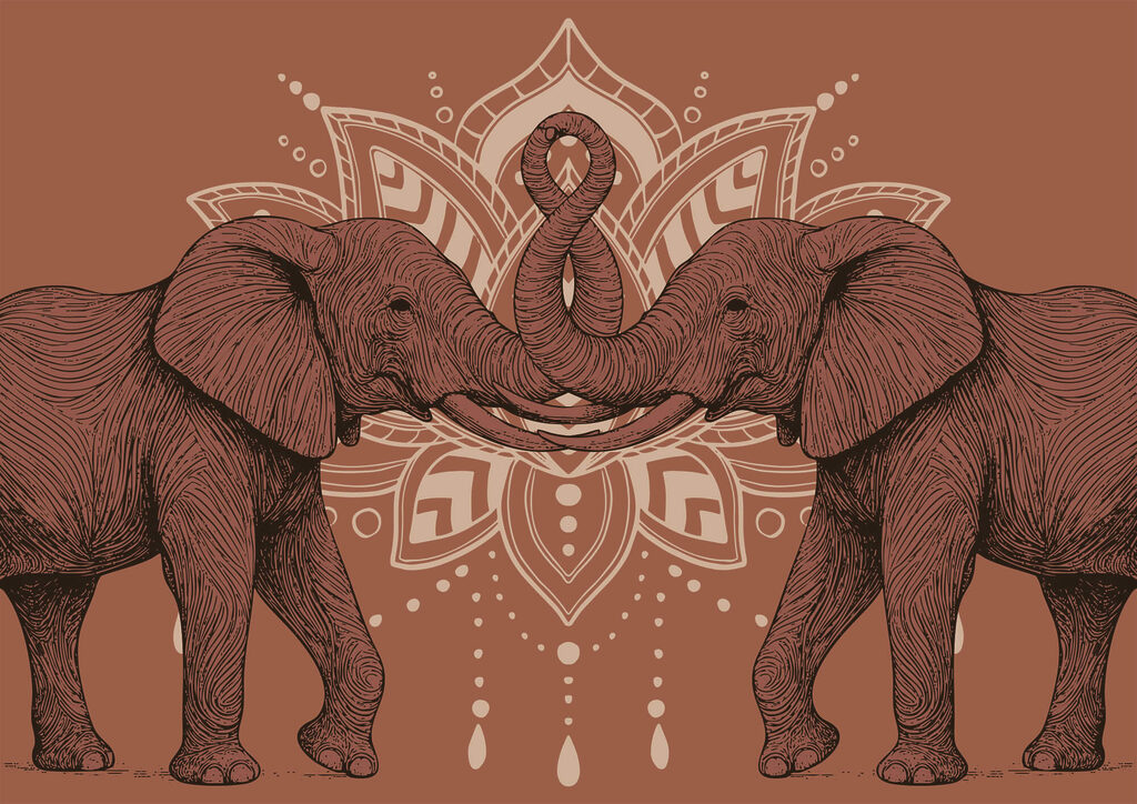 Two elephants with their trunks touching each other