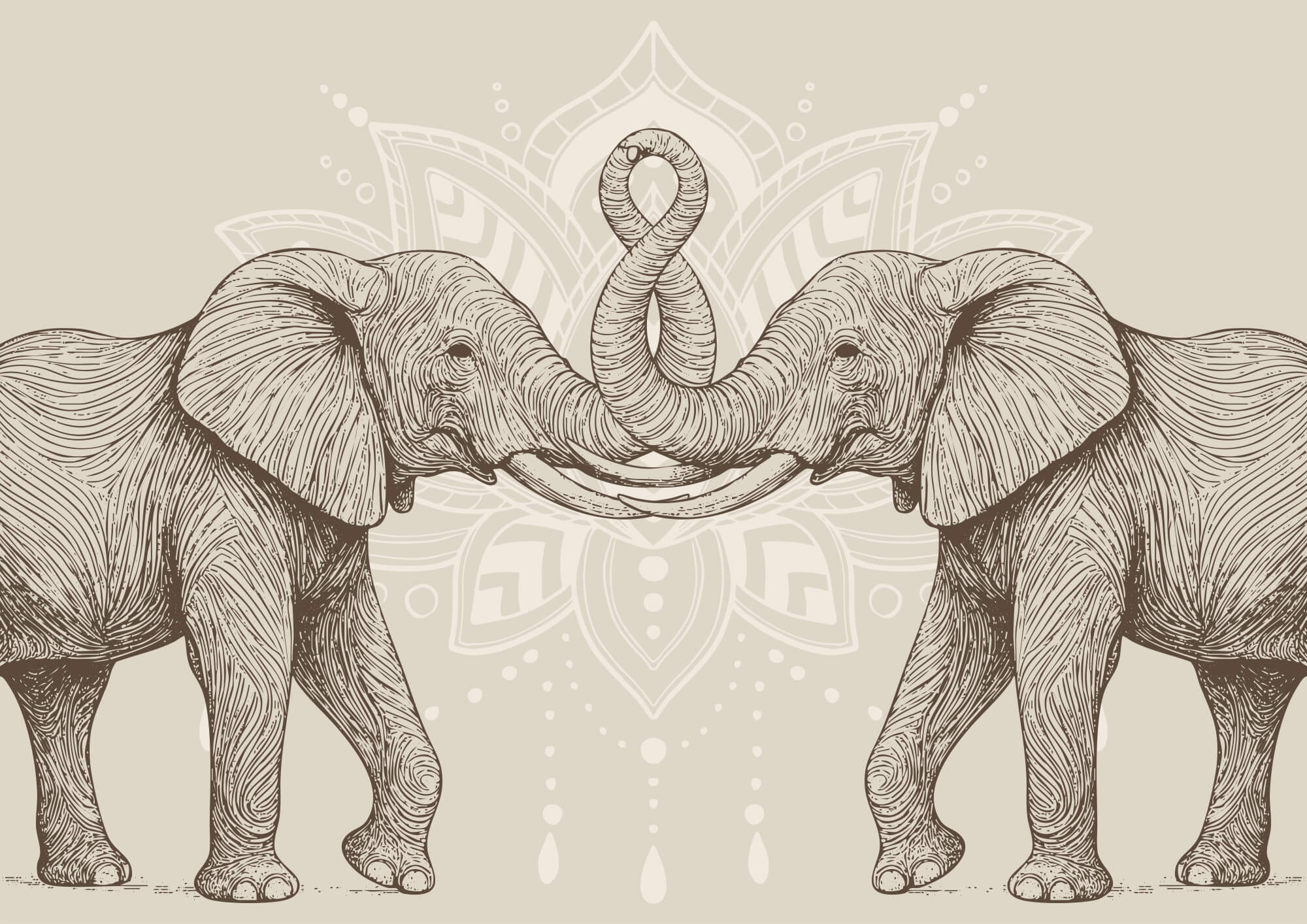 Two elephants with their trunks curled up