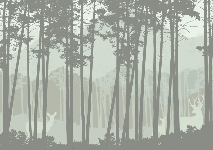 Gruppe von Bäumen in einem Wald