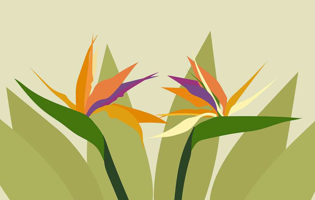 Bunte Blumen auf grünen Stielen Bunte Blumen auf grünen Stielen