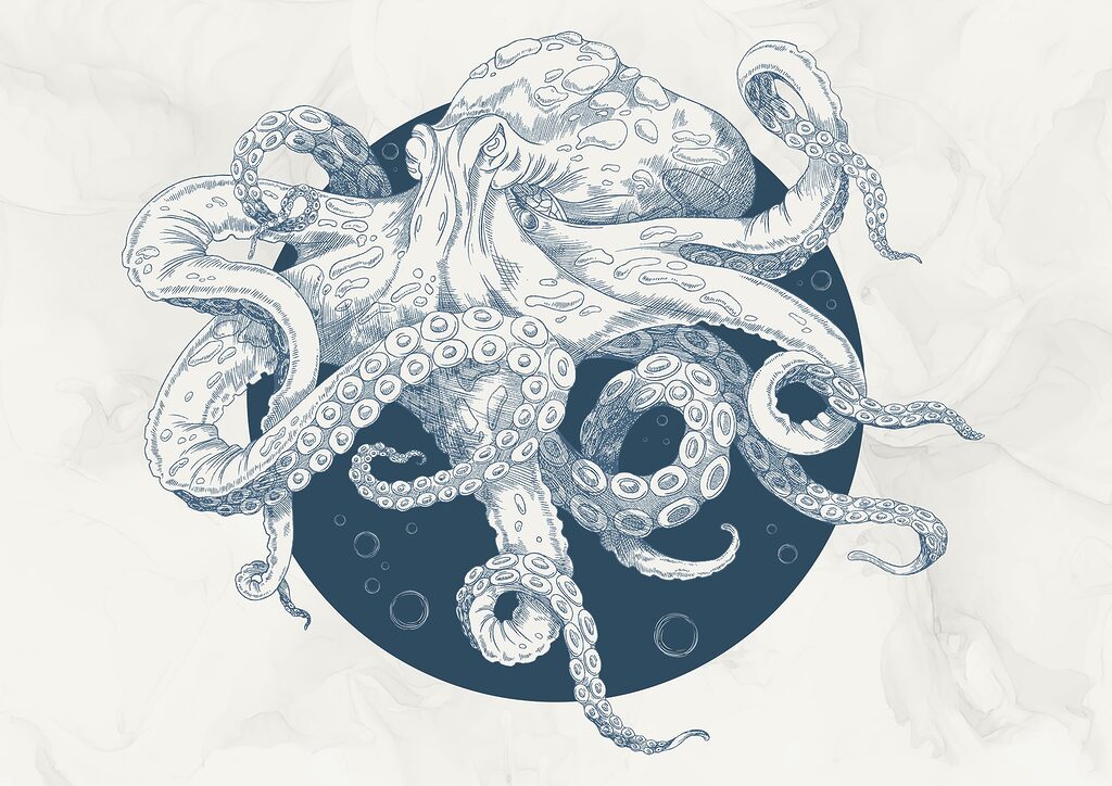 Zeichnung eines Oktopus t00010p 1024x724 - Zeichnung eines Oktopus - tegory