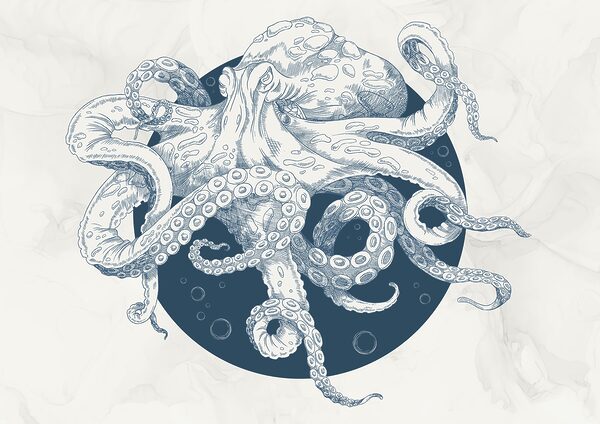 Zeichnung eines Oktopus t00010p 600x424 - Zeichnung eines Oktopus - tegory